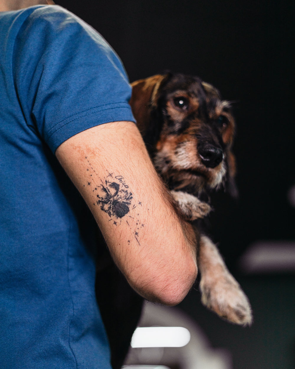 Person wearing a blue shirt with a paw print tattoo, holding a small dog.