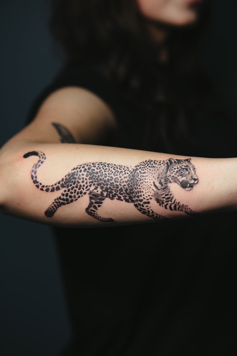 Tattoo of a leopard on a person's arm against a dark background