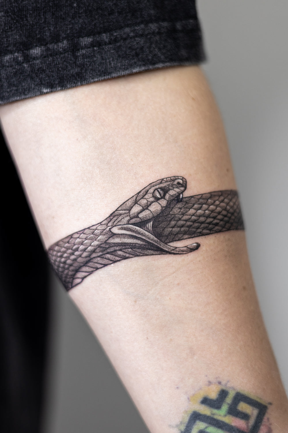 Snake tattoo on a person's arm with a neutral background
